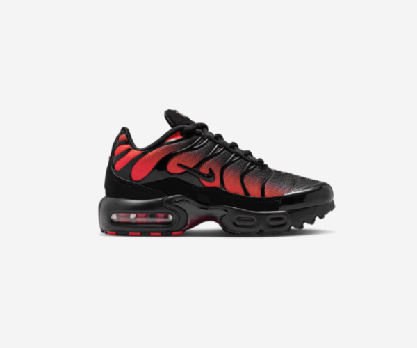 Nike Air Max Plus Black & Orange